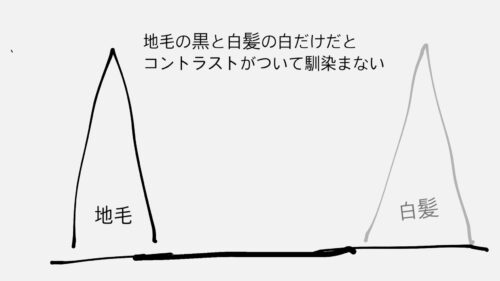 白髪ぼかしハイライト