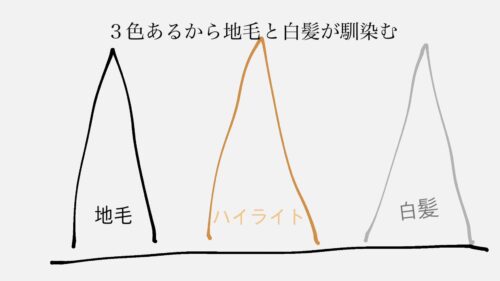 白髪ぼかしハイライトが入った状態